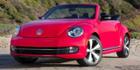 #PinkBeetle