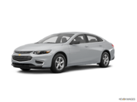 Ciocca Chevy - New a