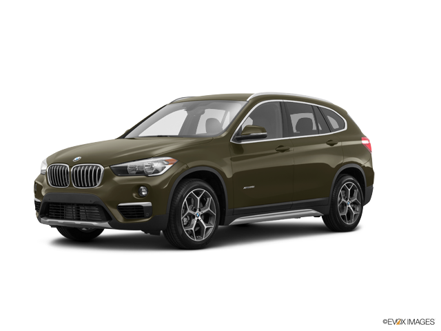 X1 sDrive28i Sports Activity Vehicle Dark Olive Metallic