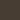Toffee Brown Metallic