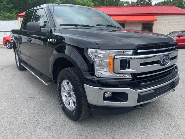 2020 Ford F-150 Vehicle Photo in Columbia, TN 38401