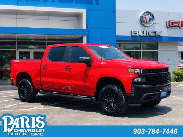 2019 Chevrolet Silverado 1500 Vehicle Photo in Paris, TX 75460