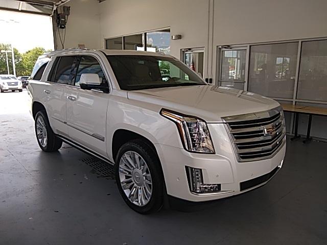 2018 Cadillac Escalade Vehicle Photo in Greer, SC 29651
