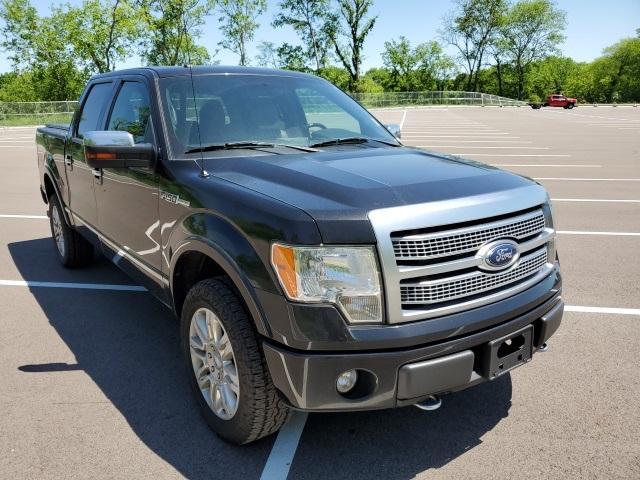 2012 Ford F-150 Vehicle Photo in Columbia, TN 38401
