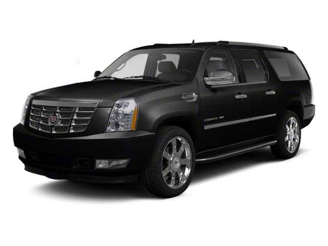 2010 Cadillac Escalade ESV 1GYUKJEF8AR179653