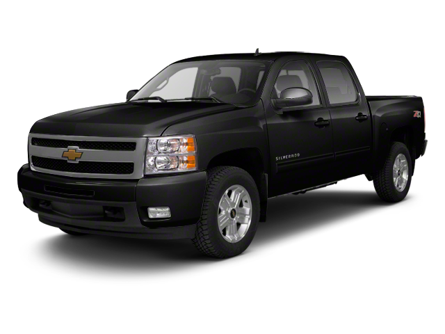 2010 Chevrolet Silverado 1500 3GCRCSE00AG224725