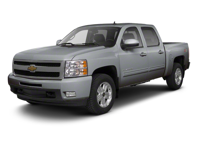 2010 Chevrolet Silverado 1500 3GCRCSE05AG125401