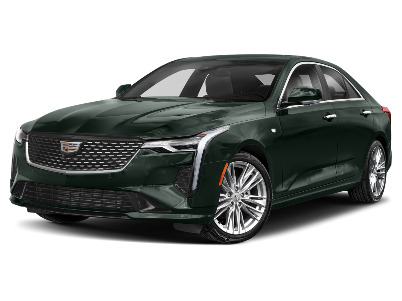 CT4 Luxury Evergreen Metallic