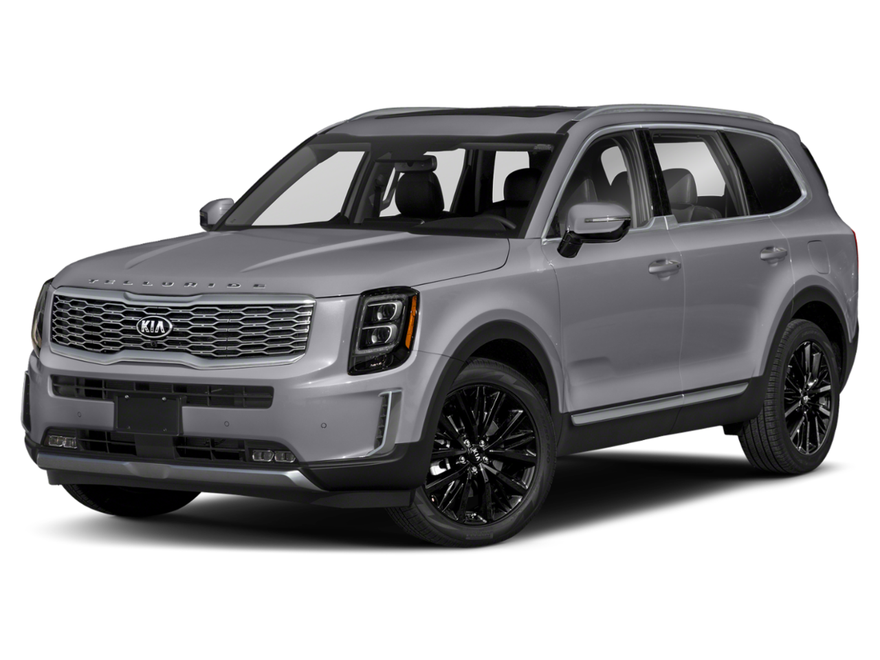 Telluride SX Everlasting Silver
