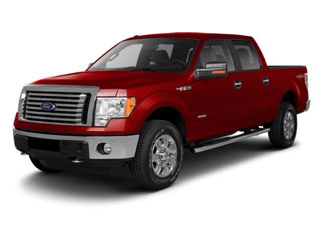 2010 Ford F-150 Vehicle Photo in Salem, VA 24153