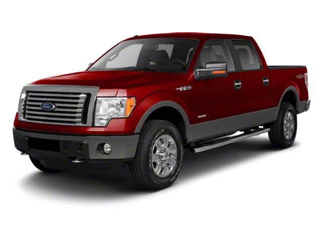 2011 Ford F-150 Vehicle Photo in Medina, OH 44256