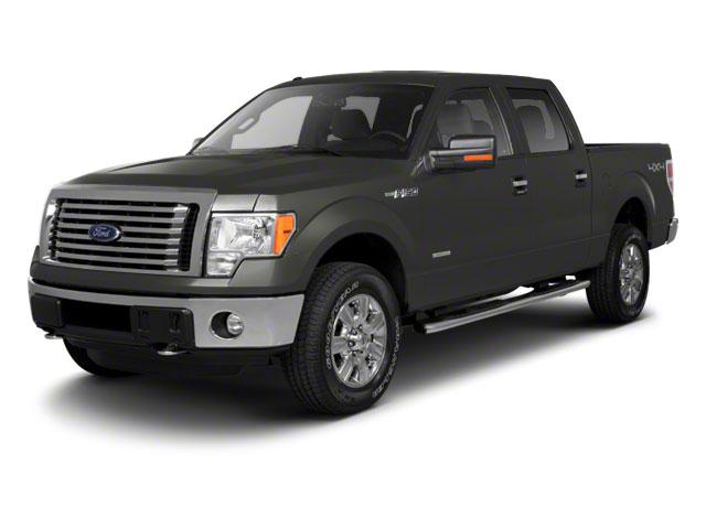 2012 Ford F-150 Vehicle Photo in Gainesville, FL 32609