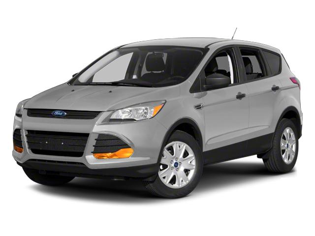 2013 Ford Escape Vehicle Photo in Elyria, OH 44035