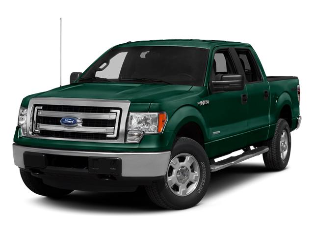 2013 Ford F-150 Vehicle Photo in Hudsonville, MI 49426