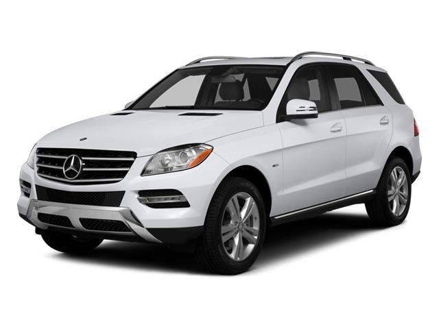 2014 Mercedes-Benz M-Class Vehicle Photo in Flemington, NJ 08822