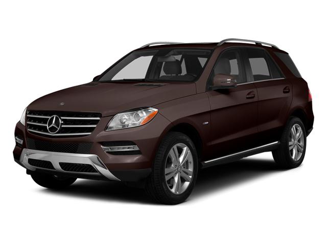 2014 Mercedes-Benz M-Class Vehicle Photo in Temple, TX 76502