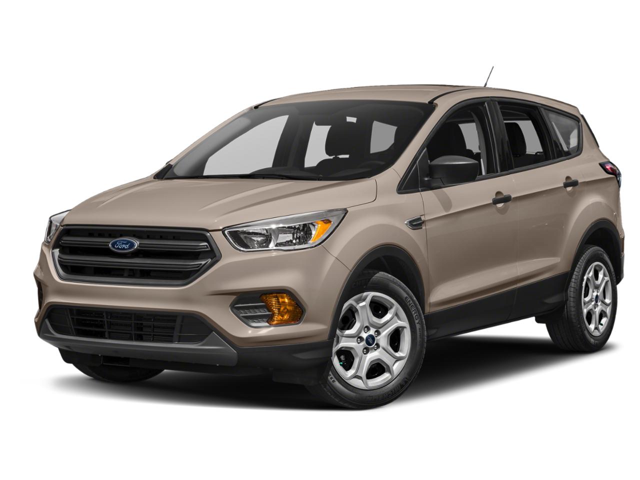 2018 Ford Escape Vehicle Photo in Elyria, OH 44035
