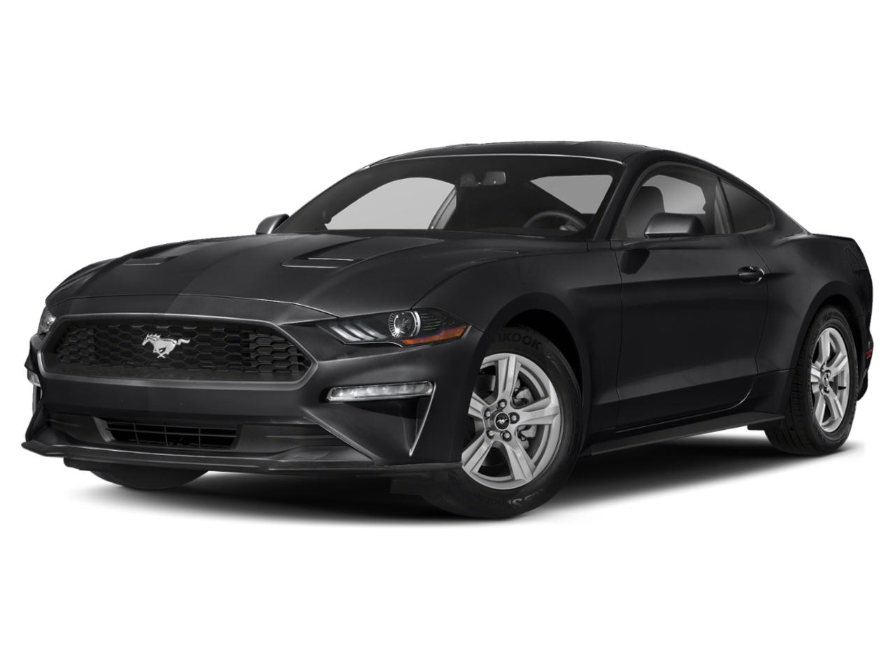 2019 Ford Mustang Vehicle Photo in Elyria, OH 44035