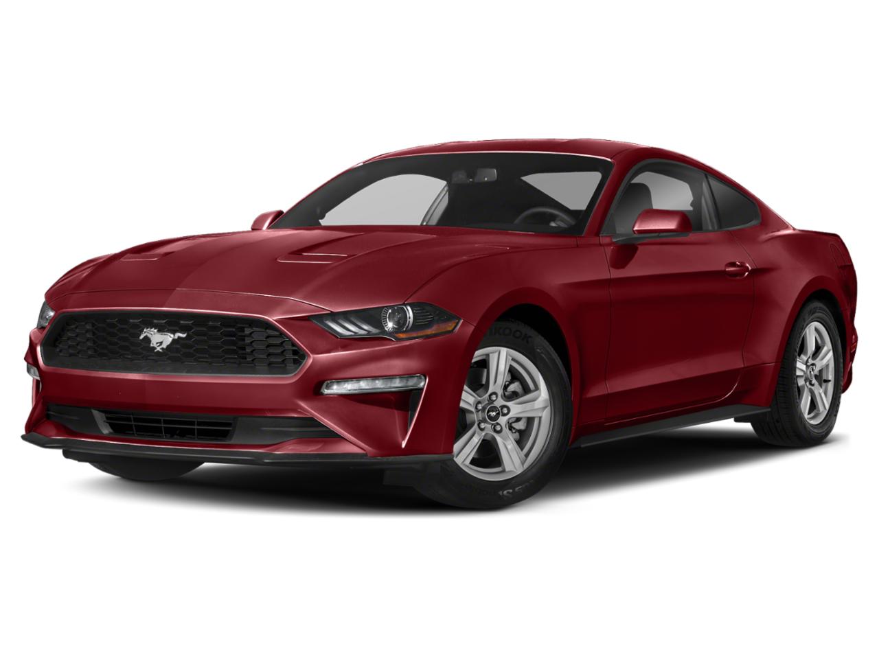 2019 Ford Mustang Vehicle Photo in Prescott, AZ 86305
