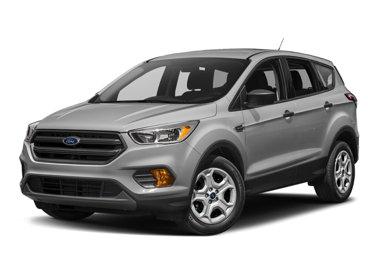 2019 Ford Escape Vehicle Photo in Elyria, OH 44035