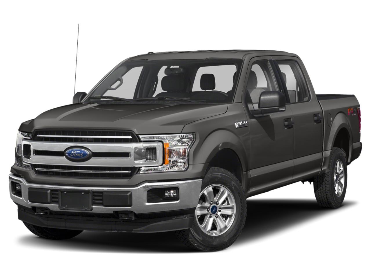 2019 Ford F-150 Vehicle Photo in Gainesville, FL 32609