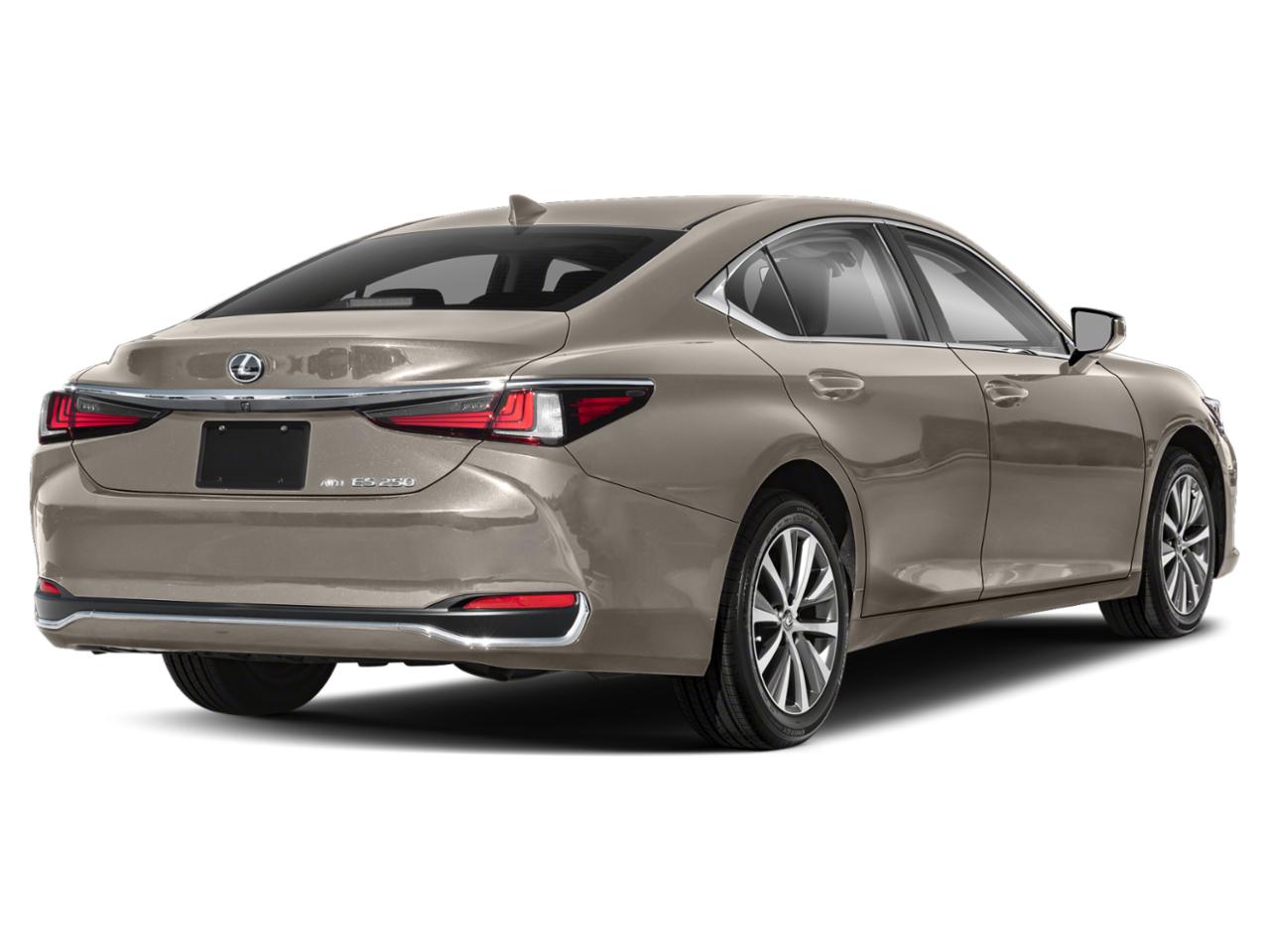 2021 Lexus ES 350 Vehicle Photo in Fort Worth, TX 76132