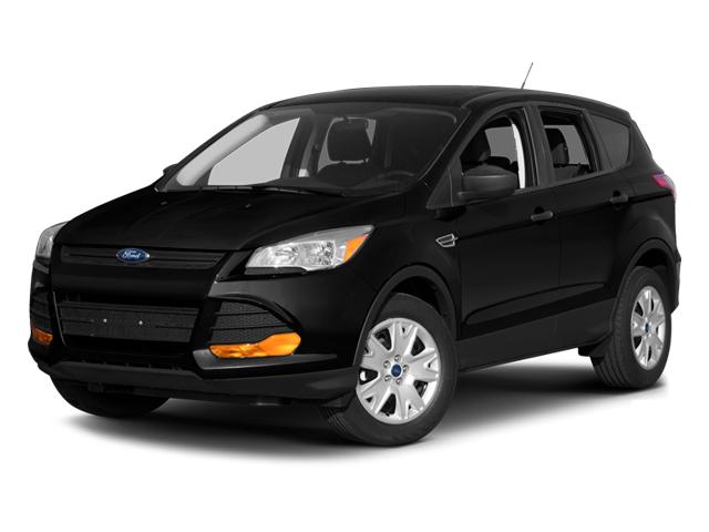 2013 Ford Escape Vehicle Photo in Elyria, OH 44035