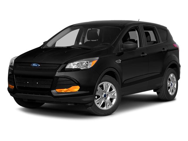 2014 Ford Escape Vehicle Photo in Elyria, OH 44035