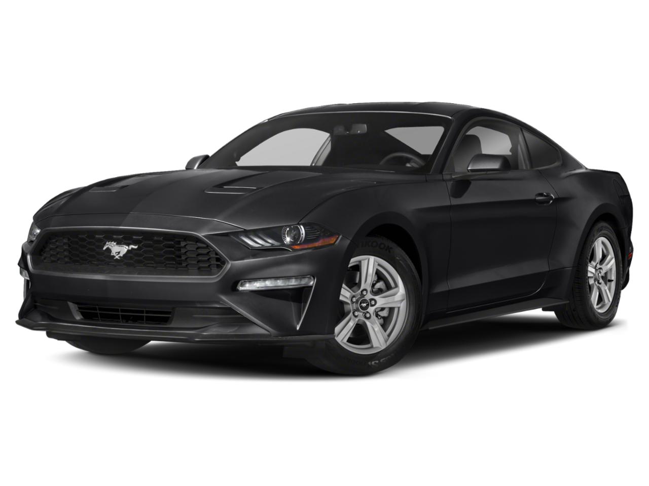 2019 Ford Mustang Vehicle Photo in San Antonio, TX 78230