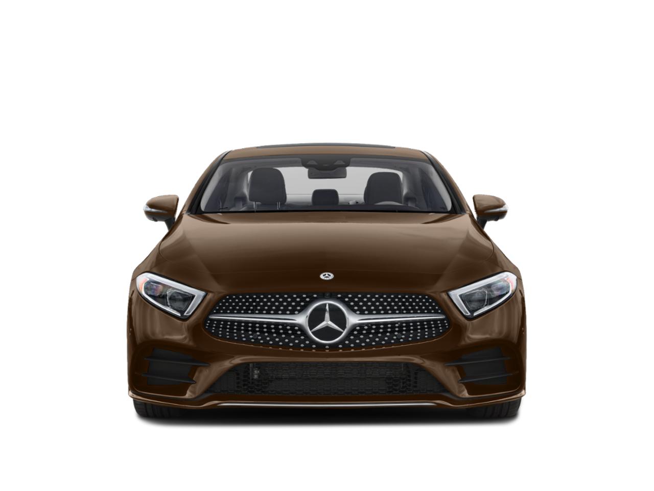 2020 Mercedes-Benz CLS Vehicle Photo in Houston, TX 77079