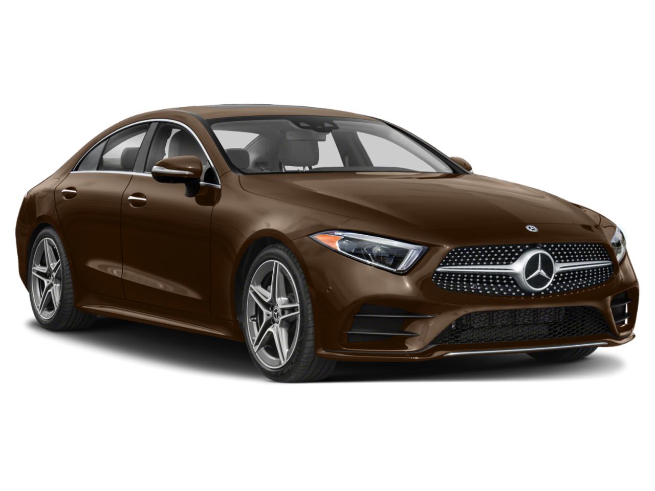 2020 Mercedes-Benz CLS Vehicle Photo in Houston, TX 77079