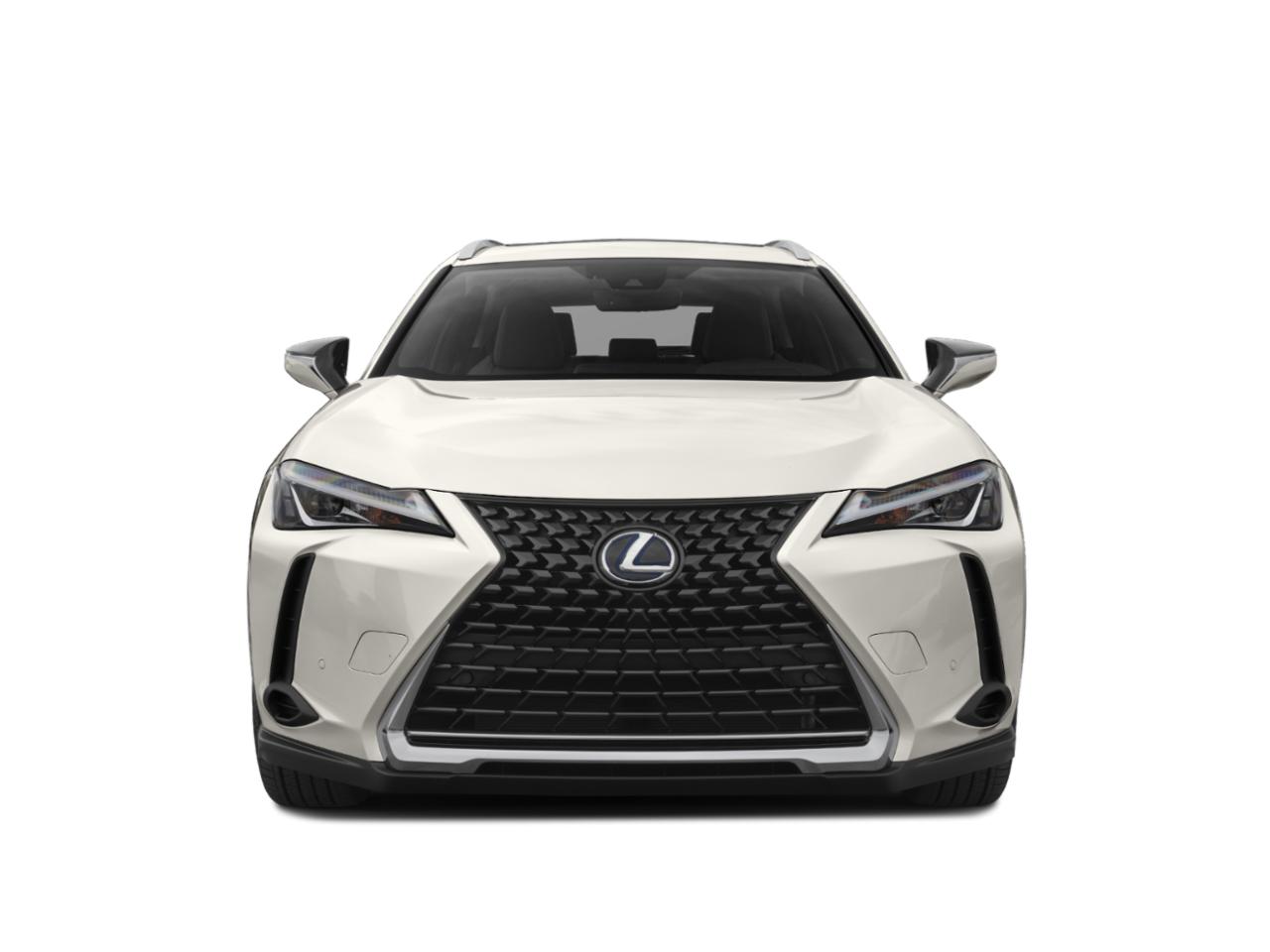 2021 Lexus UX 250h Vehicle Photo in Dallas, TX 75235