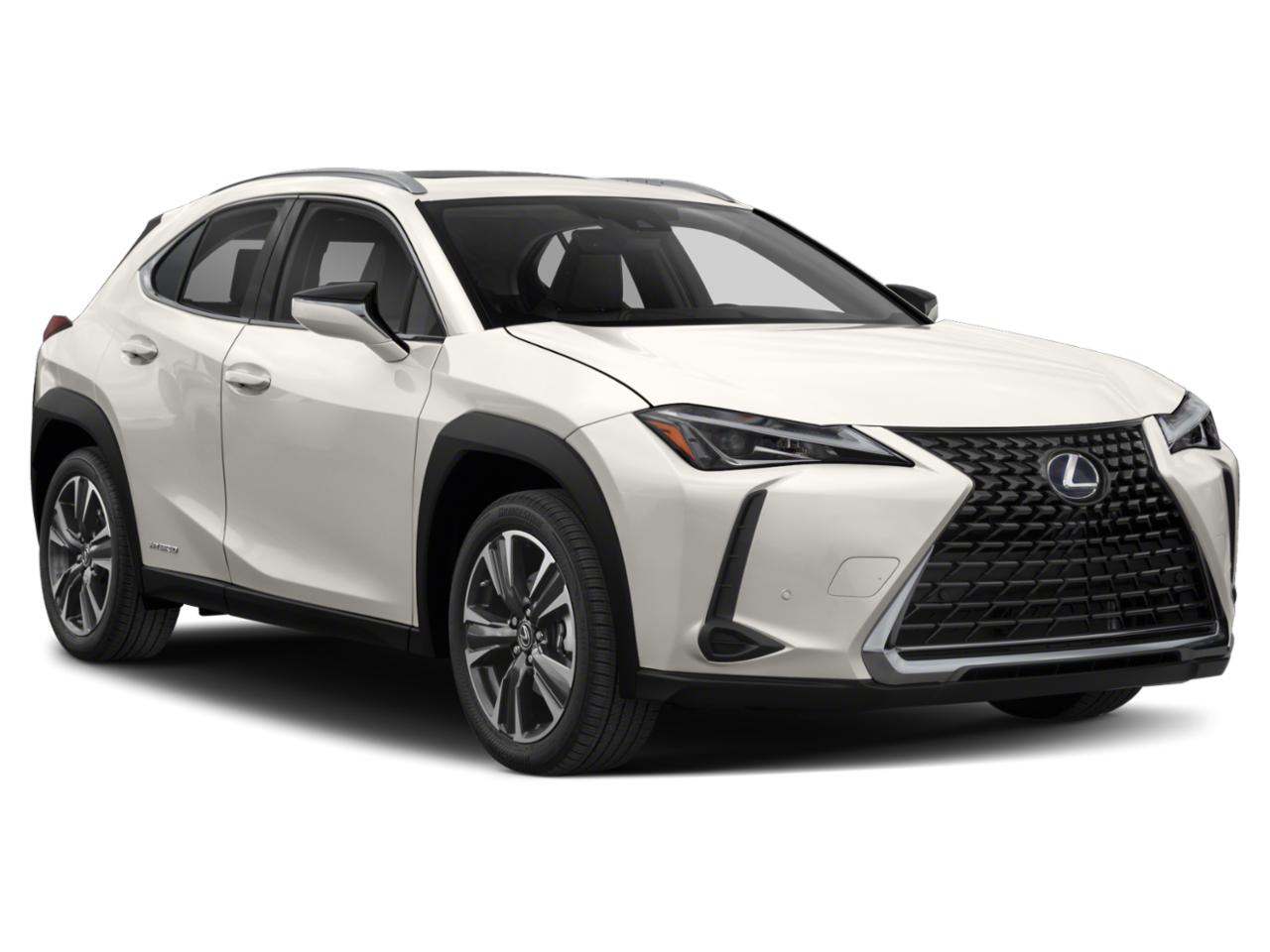 2021 Lexus UX 250h Vehicle Photo in Dallas, TX 75235