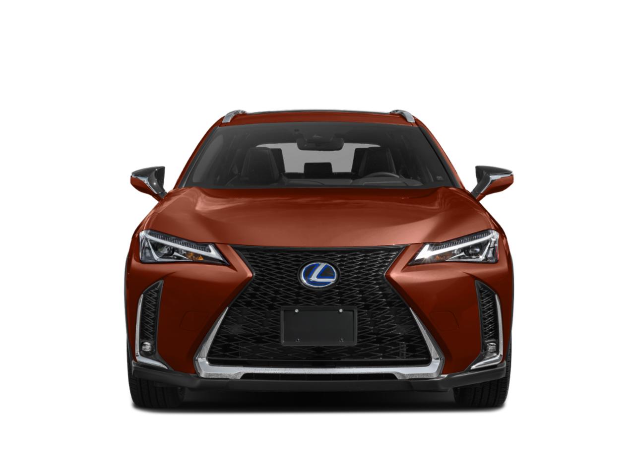 2021 Lexus UX 250h Vehicle Photo in Fort Worth, TX 76132