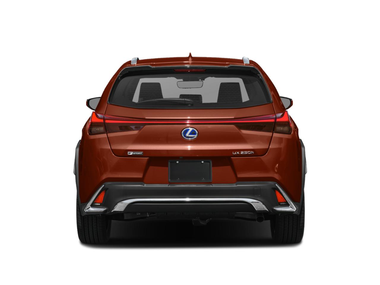 2021 Lexus UX 250h Vehicle Photo in Fort Worth, TX 76132