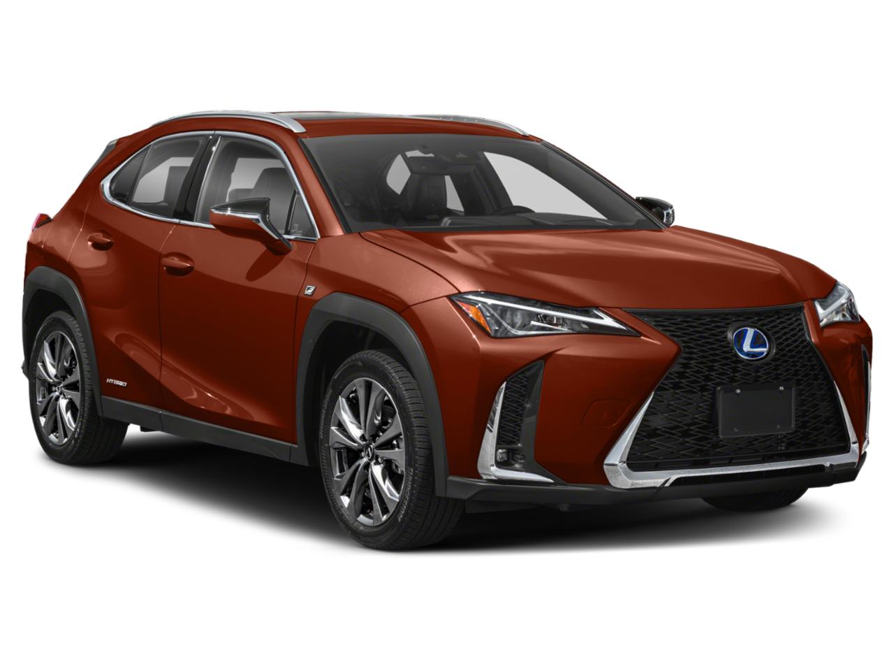2021 Lexus UX 250h Vehicle Photo in Fort Worth, TX 76132