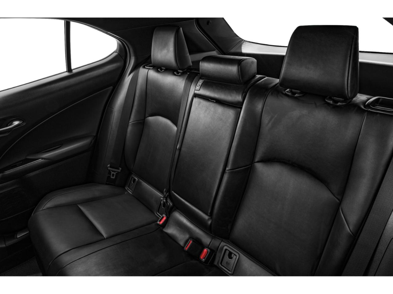 2021 Lexus UX 250h Vehicle Photo in Fort Worth, TX 76132