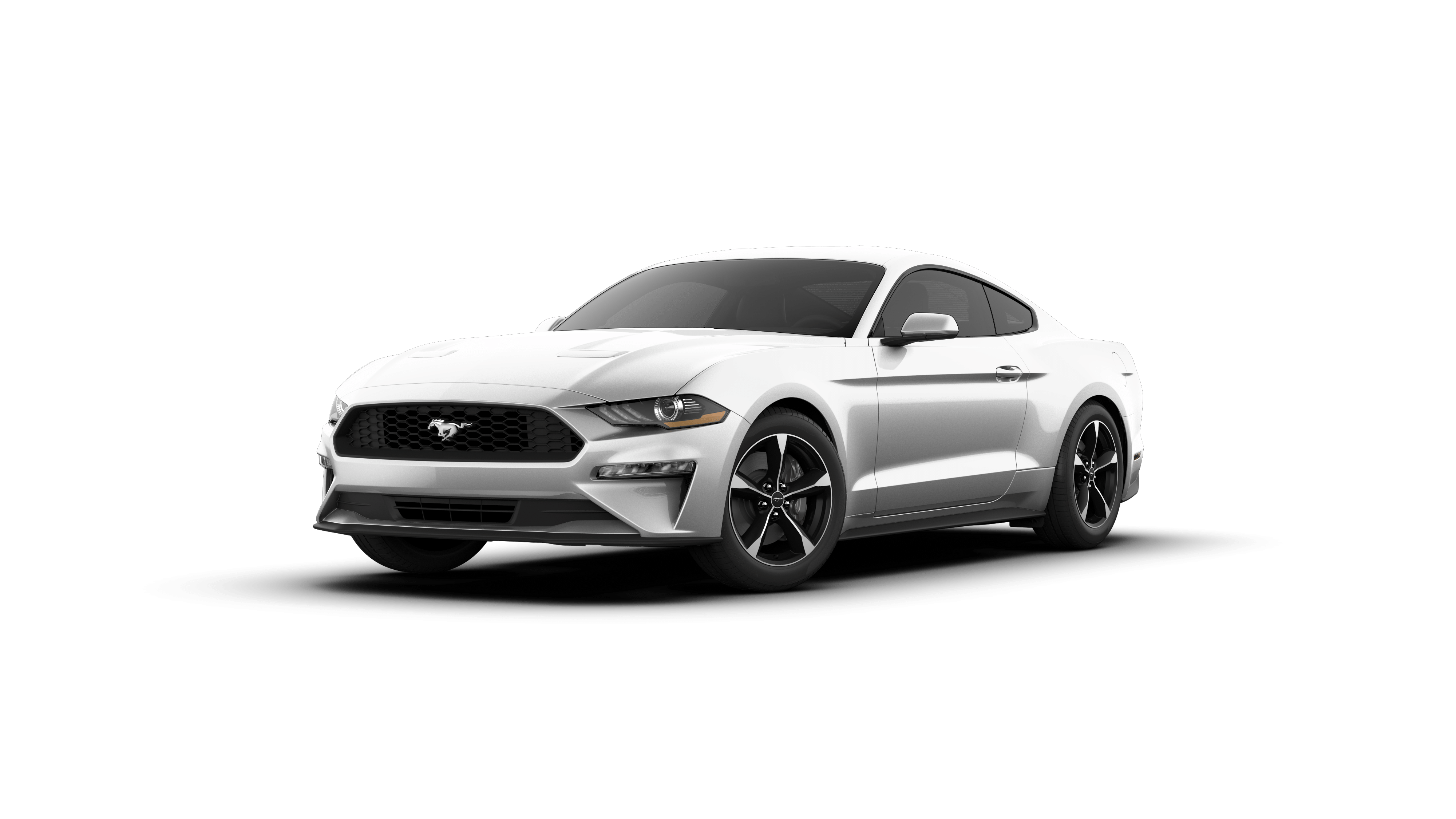 2019 Ford Mustang Vehicle Photo in Quakertown, PA 18951-1403