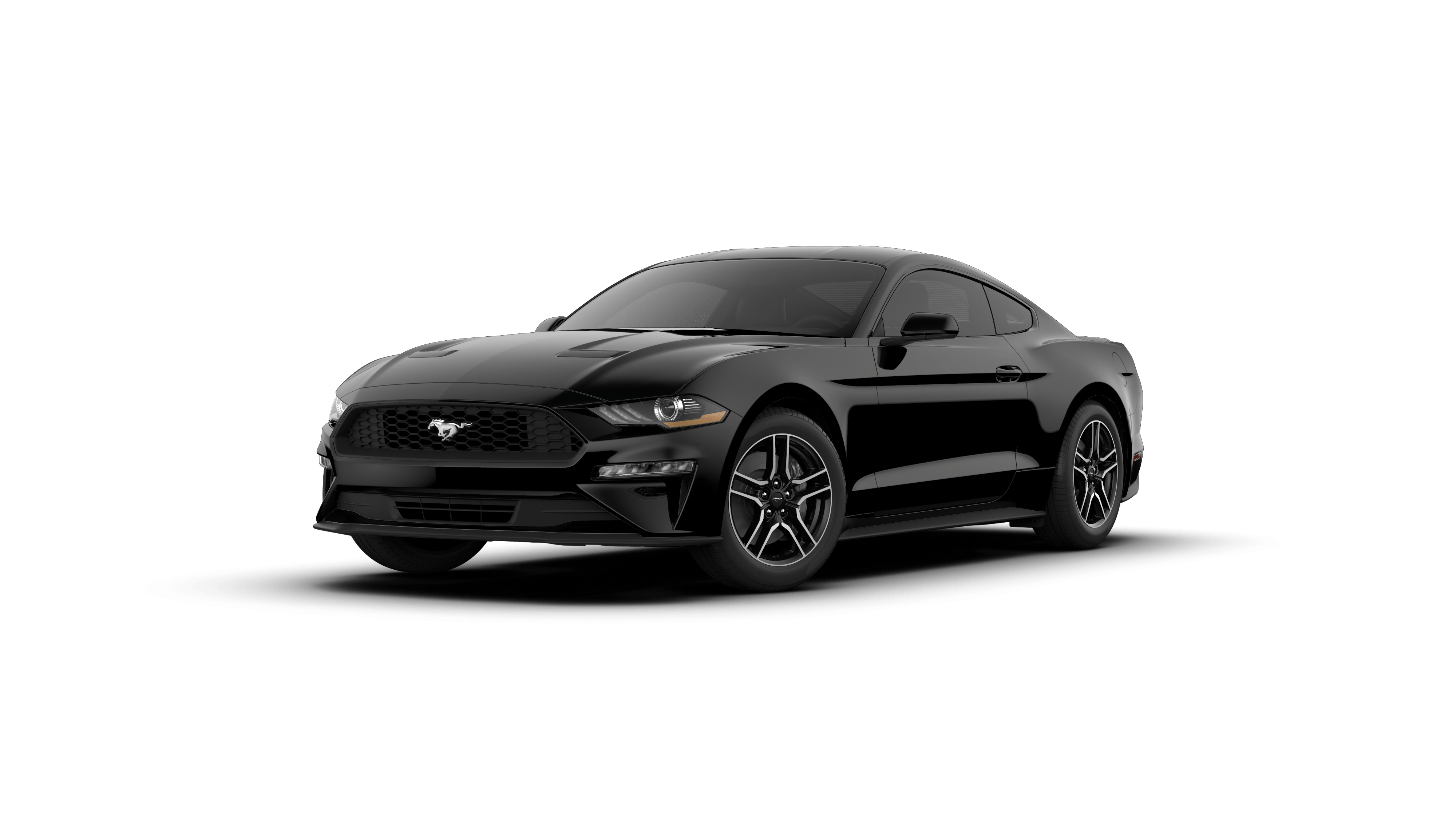 2019 Ford Mustang Vehicle Photo in Quakertown, PA 18951-1403
