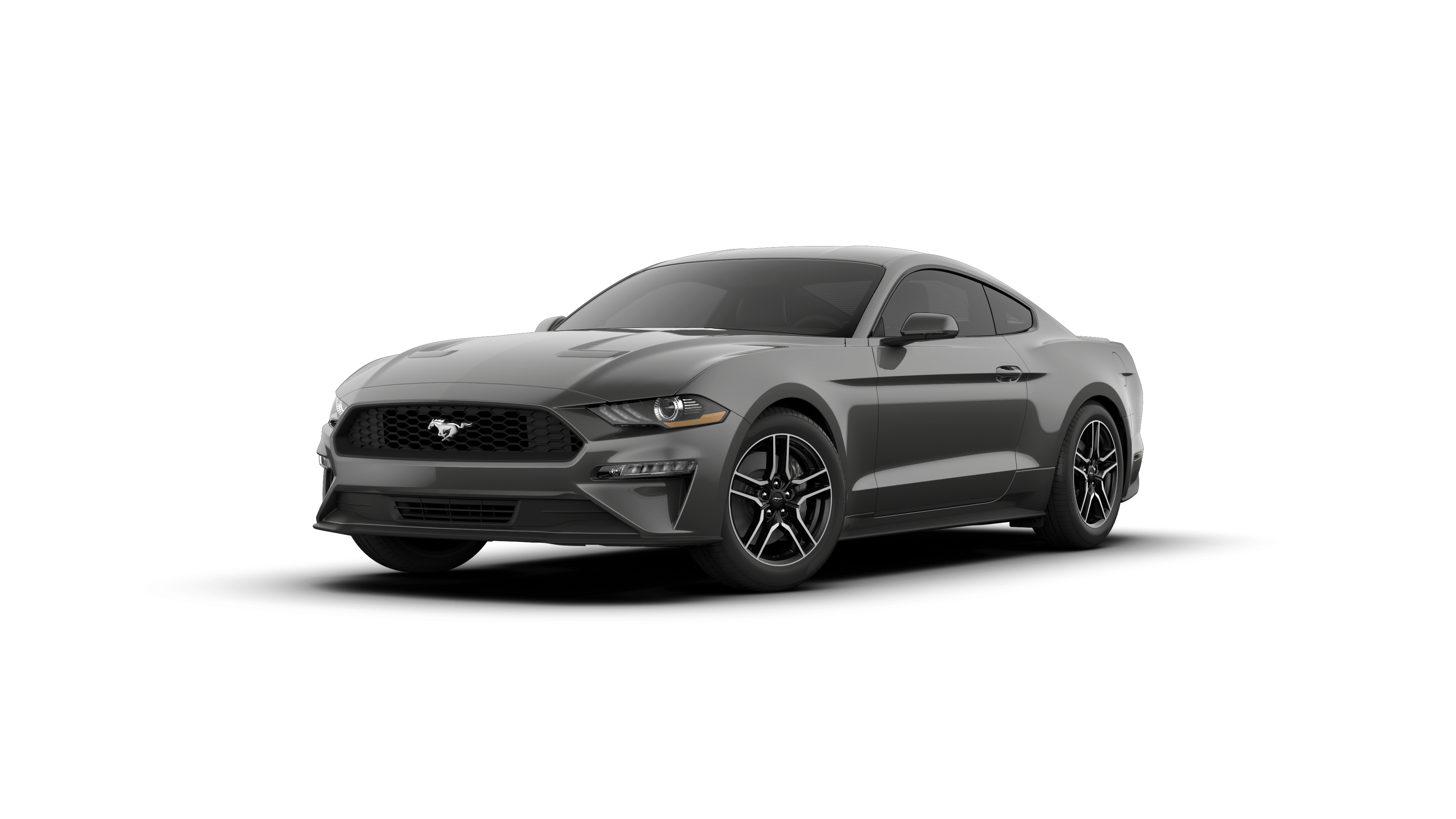 2019 Ford Mustang Vehicle Photo in Quakertown, PA 18951-1403