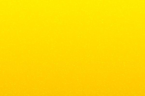 Pensacola Chevrolet Corvette