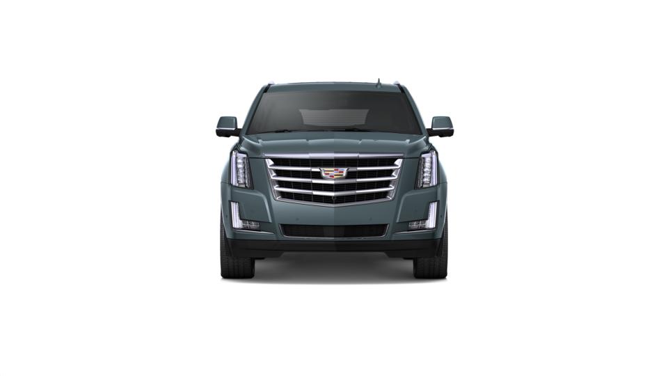 2019 Cadillac Escalade ESV Vehicle Photo in Southborough, MA 01772