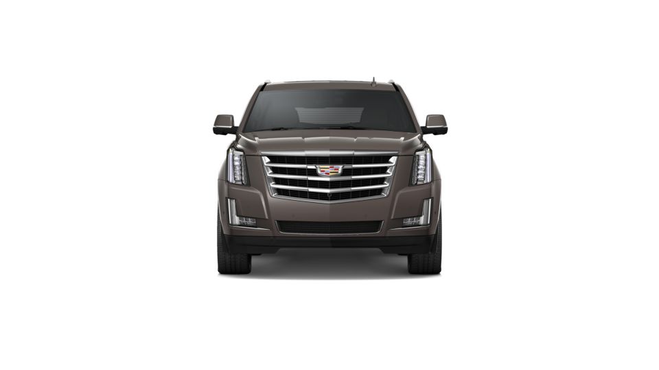 2020 Cadillac Escalade ESV Vehicle Photo in Smyrna, GA 30080
