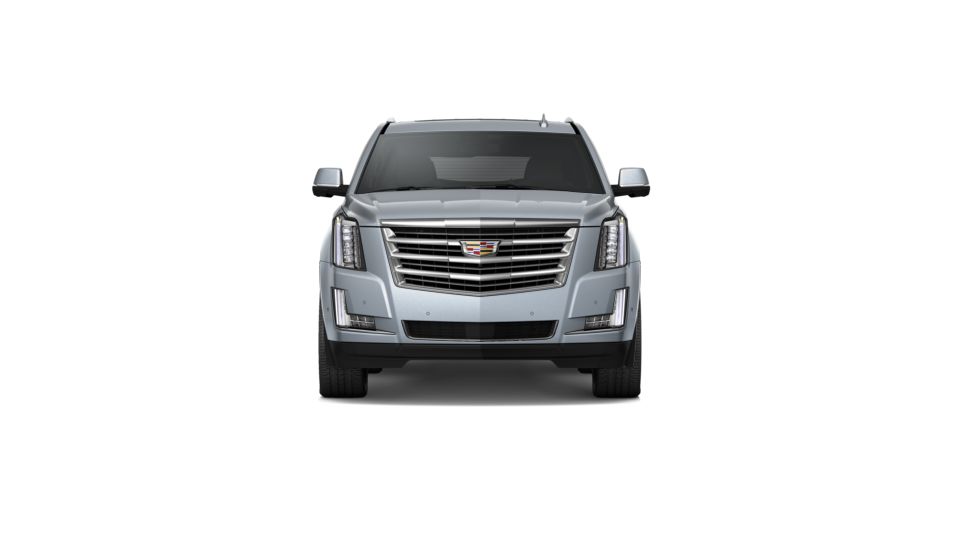 2020 Cadillac Escalade Vehicle Photo in Smyrna, GA 30080