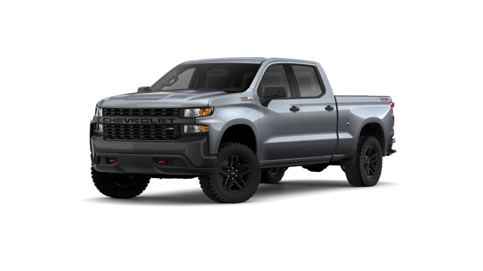 2019 Chevrolet Silverado 1500 Vehicle Photo in Cape May Court House, NJ 08210