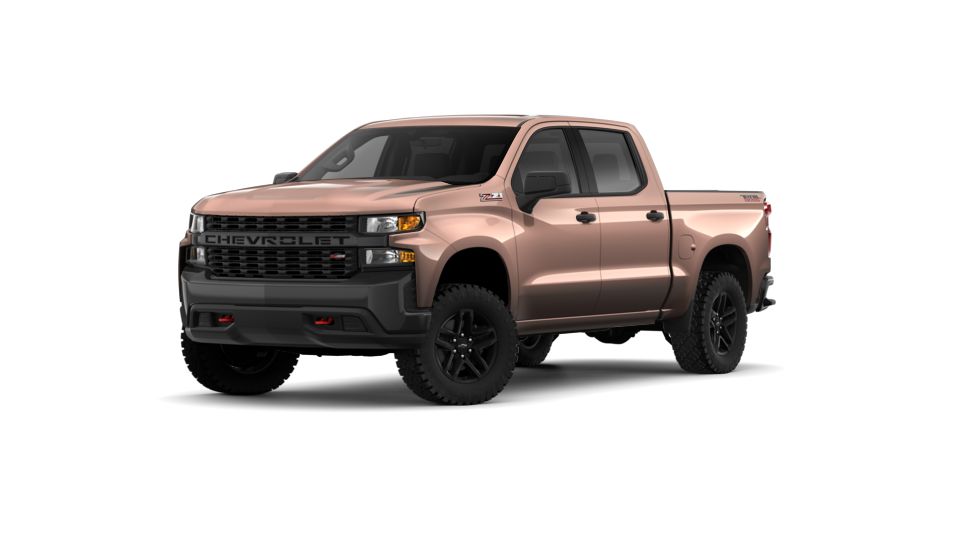 Oakwood Metallic 2019 Chevrolet Silverado 1500 for Sale in Thurmont, MD ...