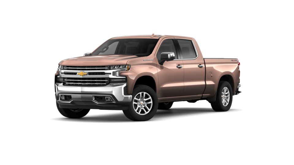 2019 Chevrolet Silverado 1500 Vehicle Photo in Spokane, WA 99207