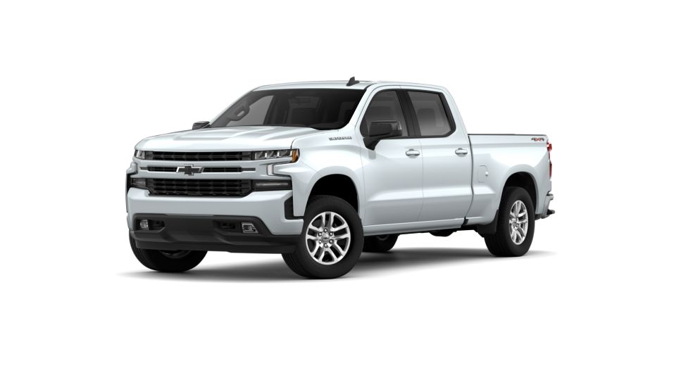 2019 Chevrolet Silverado 1500 Vehicle Photo in Amherst, OH 44001