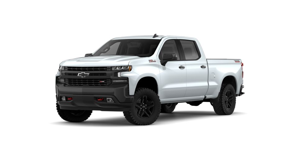 2019 Chevrolet Silverado 1500 Vehicle Photo in Bowie, MD 20716