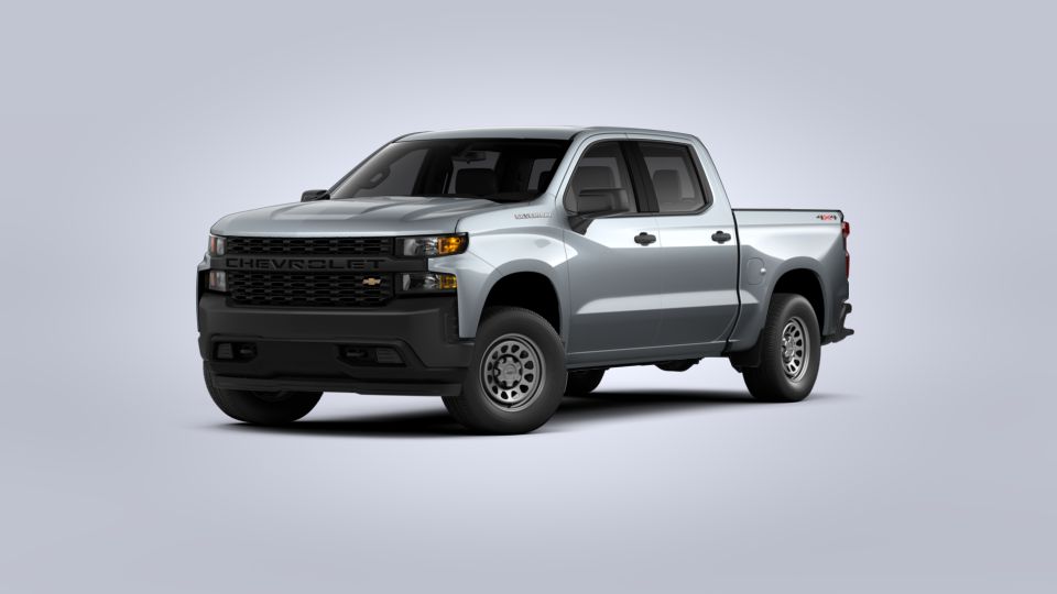 2020 Chevrolet Silverado 1500 Vehicle Photo in Tampa, FL 33612